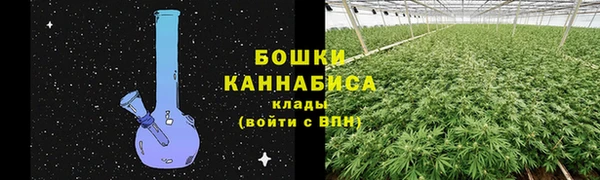 ALPHA PVP Инта