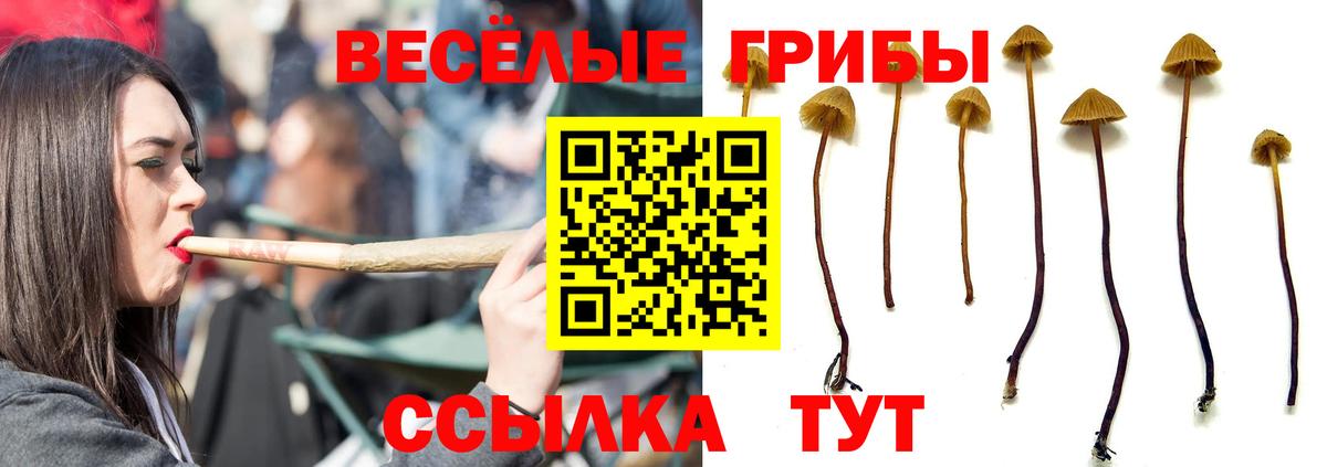 Галлюциногенные грибы GOLDEN TEACHER Ишимбай